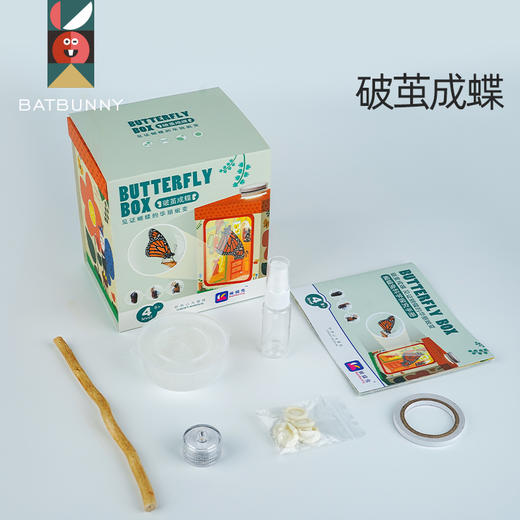 蝙蝠兔蝴蝶蛹孵化饲养儿童学生科普观察破蛹茧成蝶 商品图0