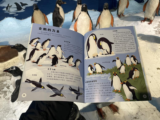 蓝色海洋系列 商品图5