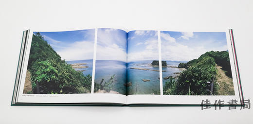 毒消草の夢 デトックスプランツ?ヒストリー / Contrayerba in dreaming ― detox plants-history / 毒消草之梦：排毒计划历史记录 商品图2