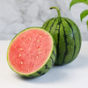 【安徽好物】早春红玉手撕小西瓜 4.5斤/7.5斤 商品缩略图3