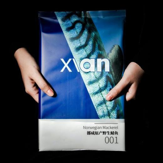 挪威青花鱼 商品图5