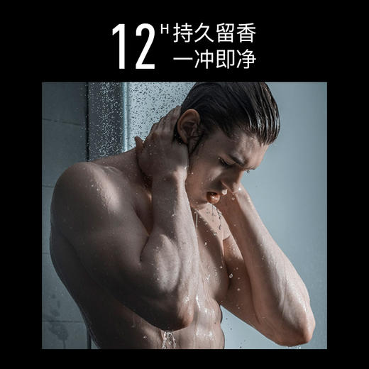 Secrethem他秘 沙棘沐浴露450ml 商品图3