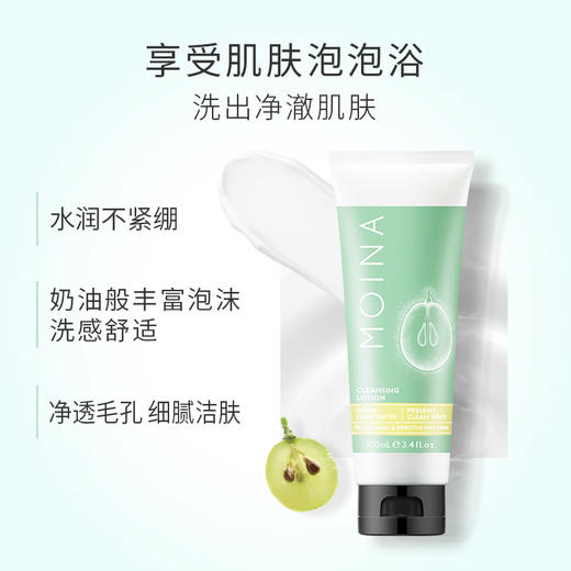 莫伊纳净颜洁面乳100ml 商品图2