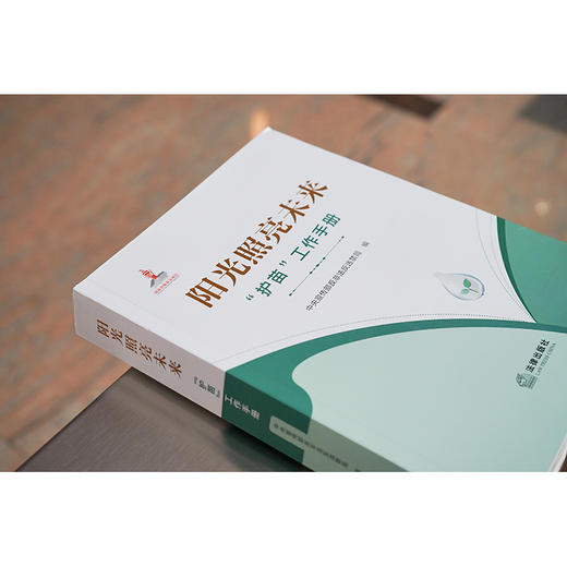 阳光照亮未来：“护苗”工作手册  中央宣传部反非法反违禁局编 商品图3