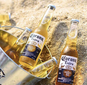 阅舍空间·科罗纳330ml