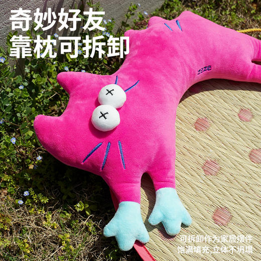 zeze蔺草宠物垫-B(包邮) 商品图5