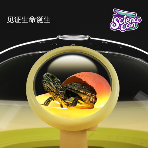 科学罐头饲养乌龟缸乌龟蛋孵化养育仓 XHR 商品图2