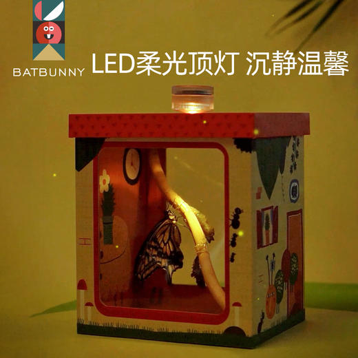 蝙蝠兔蝴蝶蛹孵化饲养儿童学生科普观察破蛹茧成蝶 商品图5