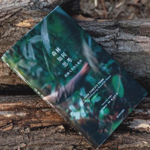 森林如何思考 超越人类的人类学 商品图1