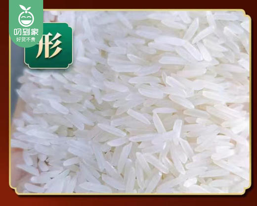 信孚芽签香米*4包（500g/包）生产日期: 3月 商品图2