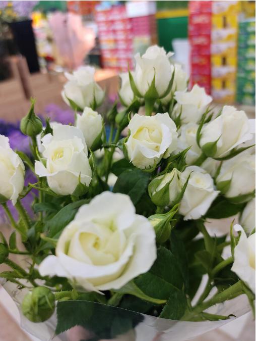 多头泡泡玫瑰一束（拼团） 商品图3