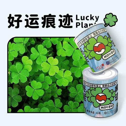 好运《痕迹》种子罐头植物（四叶草款） 新华书店网上商城x现代教育出版社联名款 《痕迹》周边 商品图2