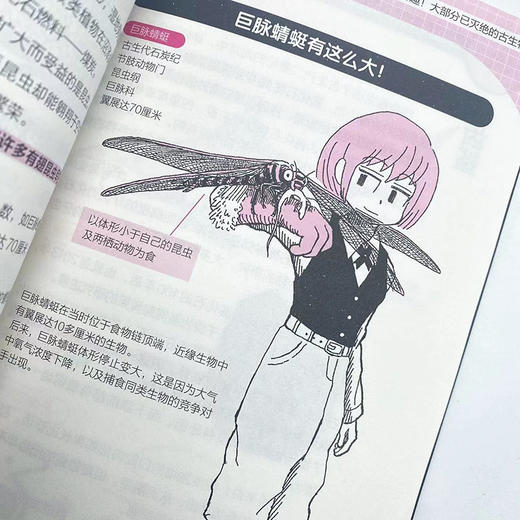 你不可不知的古生物奥秘 古生物 地球历史 多样性 恐龙时代 古脊椎动物 生态 演化历程 问答形式 复原图 科普读物 商品图4