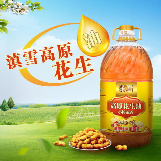 云南玉溪滇雪高原花生油4升/5升 商品图0