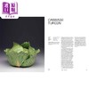 【中商原版】Ceramics An Atlas Of Forms 进口艺术 陶瓷：形式图集 T&H 商品缩略图4