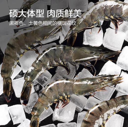 活冻黑虎虾（大号）2kg 62-80只 海鲜水产 过节送礼 商品图1