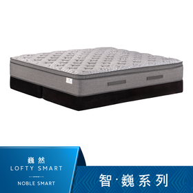 Sealy丝涟床垫 智·巍系列 巍然  Lofty Smart