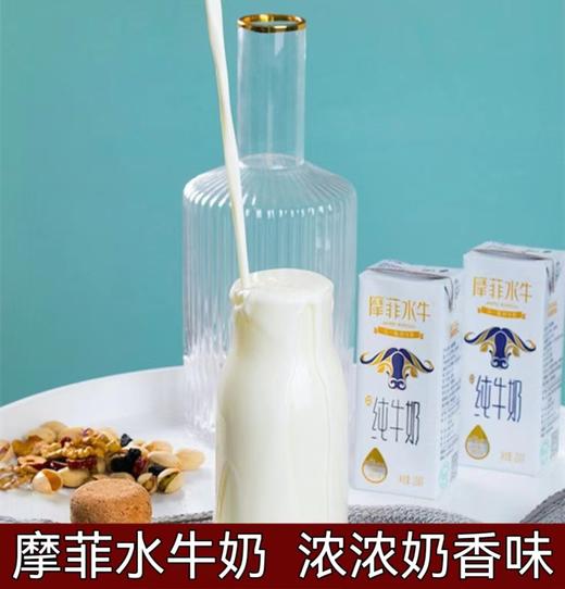 【回头率99.99%】【云南水牛纯牛奶】浓浓奶香味 每盒含7.6克乳蛋白 10盒/箱 商品图0