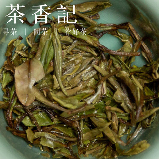 茶香记 如毫白牡丹017一斤装 福鼎磻溪大洋山高山荒野茶 毫香蜜韵 商品图5