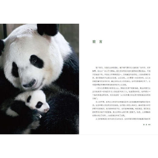 大熊猫之路：:一部绚烂的大熊猫文明史(精)/现代出版社/考拉看看/9787523101087 商品图4