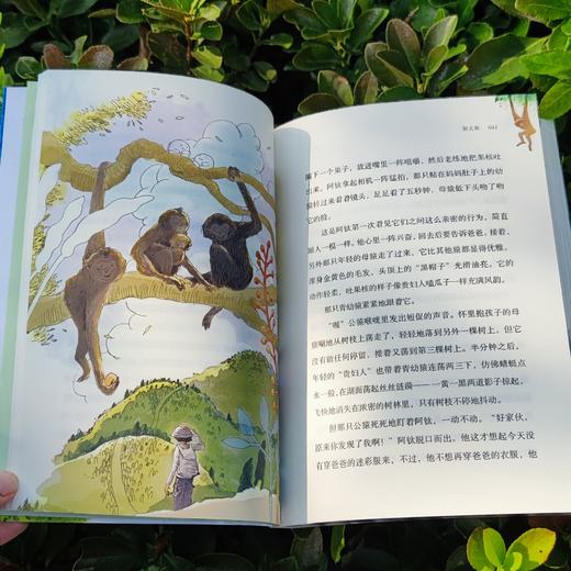 【秘境回声】  2022年度中国好书，我的国家公园丛书 商品图1