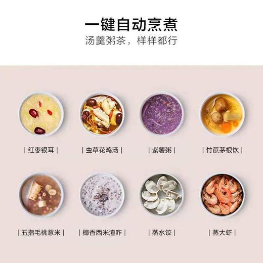 北鼎（Buydeem）燕窝高级养生壶 1500ml智能家用煮茶壶 办公室多功能花茶煮茶器 隔水炖 快手蒸 智能触控 K159T 茱萸粉（含燕窝炖盅） 商品图4