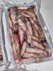 【大灯照鱿鱼】400克20-25个，妈鲜乐精选灯诱捕小鱿鱼，味道鲜美，一口一个。 商品缩略图5