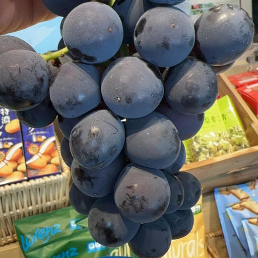 富硒葡萄 商品图0