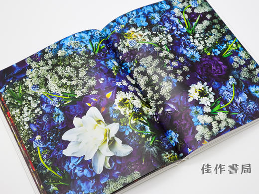 Encyclopedia of Flowers 植物図鑑V / 植物图鉴 5 商品图2