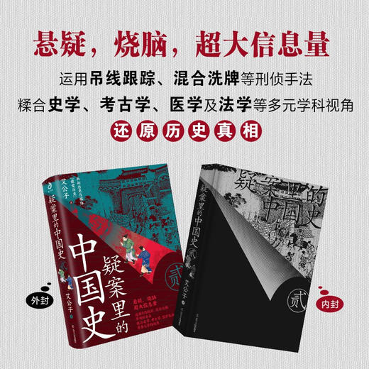 疑案里的中国史2 艾公子 著 历史 商品图3