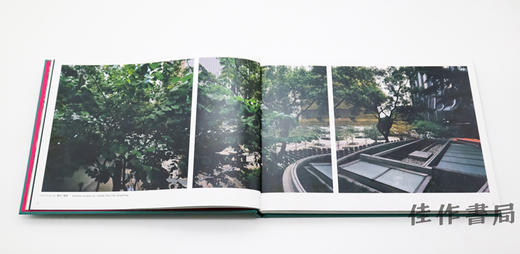 毒消草の夢 デトックスプランツ?ヒストリー / Contrayerba in dreaming ― detox plants-history / 毒消草之梦：排毒计划历史记录 商品图3