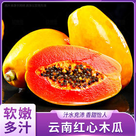  【寻鲜季】云南驻足，果园直采！树上自然成熟红心木瓜！又绵又甜！ 