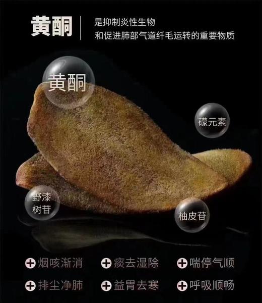 【直送到家】100g华彤16年化州橘红胎果陈片 商品图2