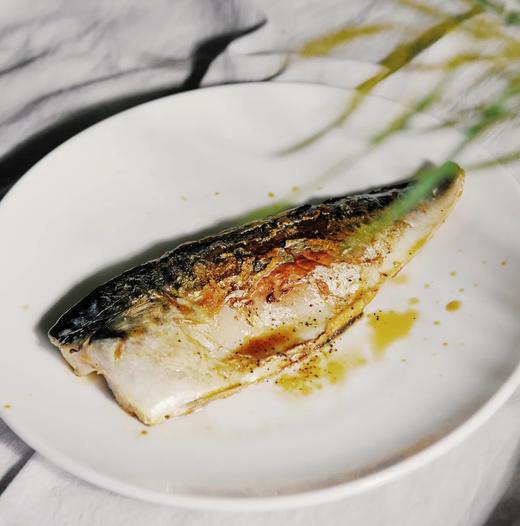 挪威青花鱼 商品图1