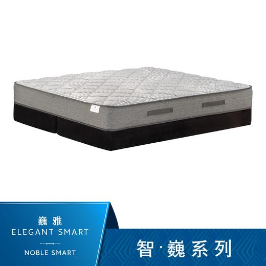 Sealy丝涟床垫 智·巍系列 巍雅 Elegant Smart 商品图0