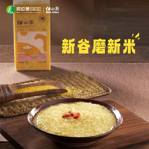 【5斤小米】2023年任小米新谷子新小米 商品图0