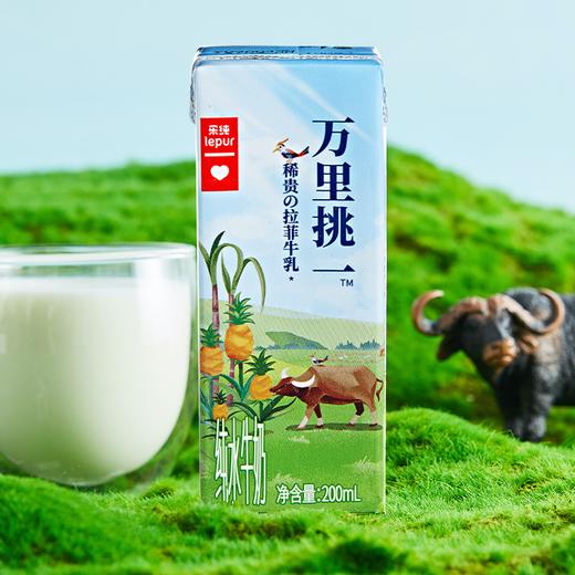 老米优品/ 万里挑一拉菲牛乳水牛奶，chao好喝！！！不爱喝牛奶的小盆友也会爱上哦！ 整箱200ml*10盒/箱 商品图0