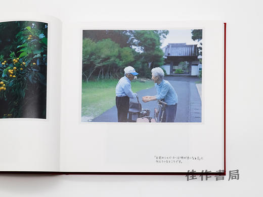 おじいちゃんの写真集 / My Grandfather's photo book / 爷爷的写真集 商品图3