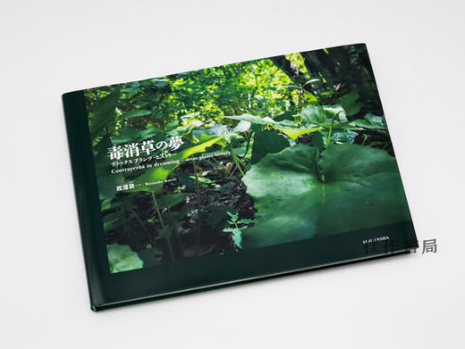 毒消草の夢 デトックスプランツ?ヒストリー / Contrayerba in dreaming ― detox plants-history / 毒消草之梦：排毒计划历史记录 商品图1