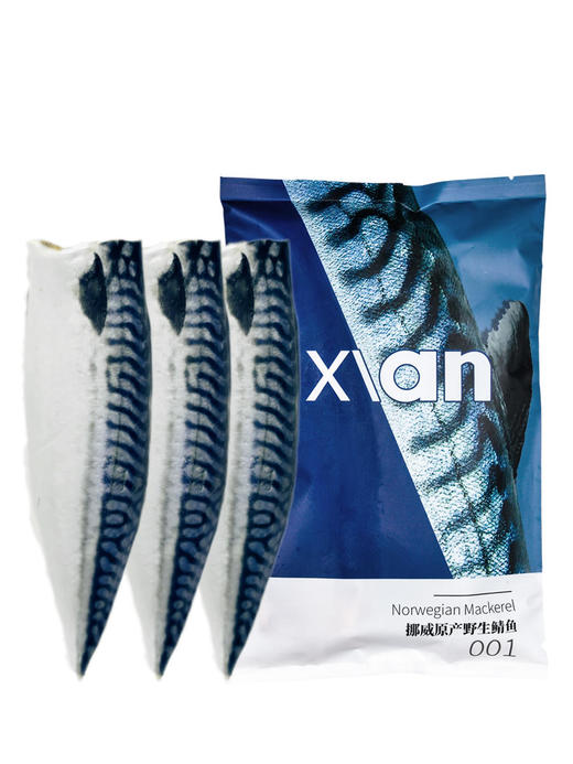 挪威青花鱼 商品图0