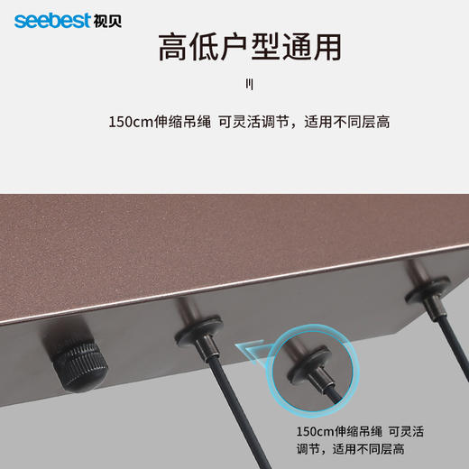 春风如意-吊灯 商品图3