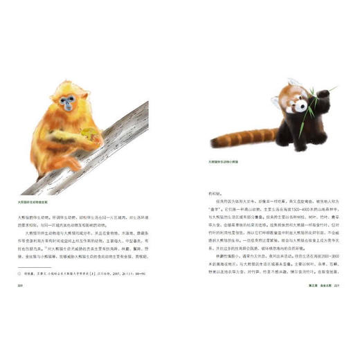大熊猫之路：:一部绚烂的大熊猫文明史(精)/现代出版社/考拉看看/9787523101087 商品图2