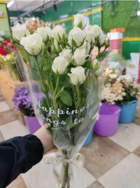 多头泡泡玫瑰一束（拼团）