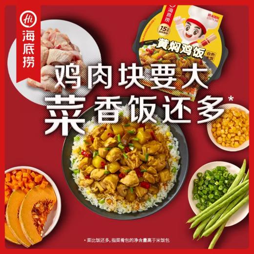 海底捞自热米饭黄焖鸡饭170g 速食懒人快餐 自热 商品图2