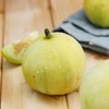 马连庄甜瓜(8个装) 商品缩略图2