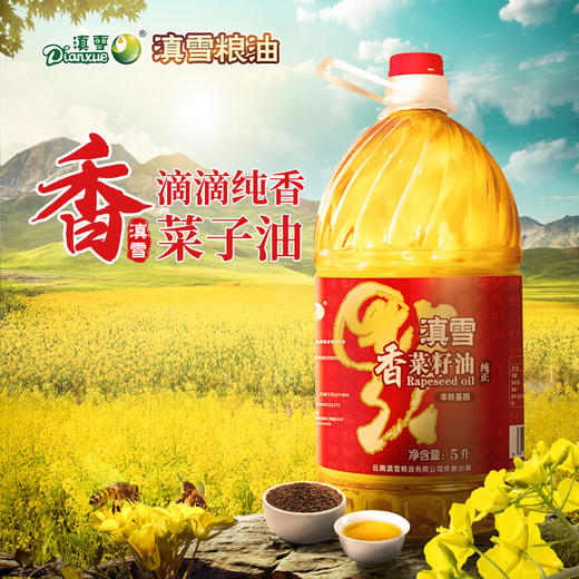 云南玉溪云南滇雪香菜籽油4升/5升 商品图0