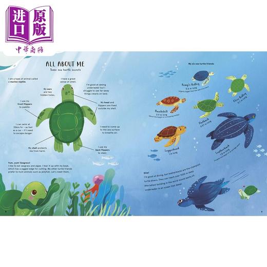 【中商原版】The Secret Life of Oceans 海洋的秘密生活 英文原版 进口图书 儿童科普绘本 知识百科图书 7-12岁童书儿童读物 商品图2