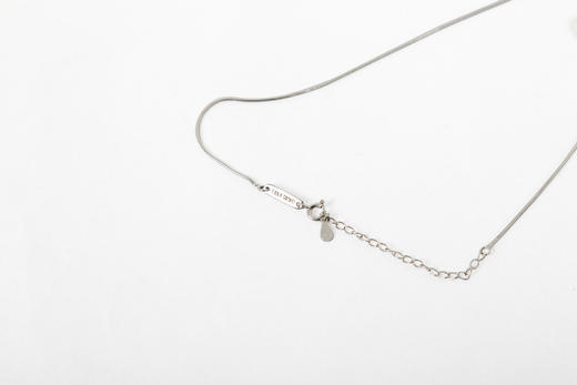 Self Who轻奢小众设计感925银项链女2023新款爆款高级锁骨链颈链 商品图4