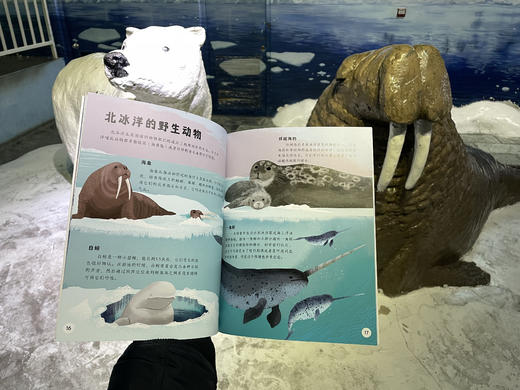 蓝色海洋系列 商品图3