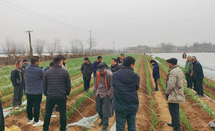 葱满满线下技术调研